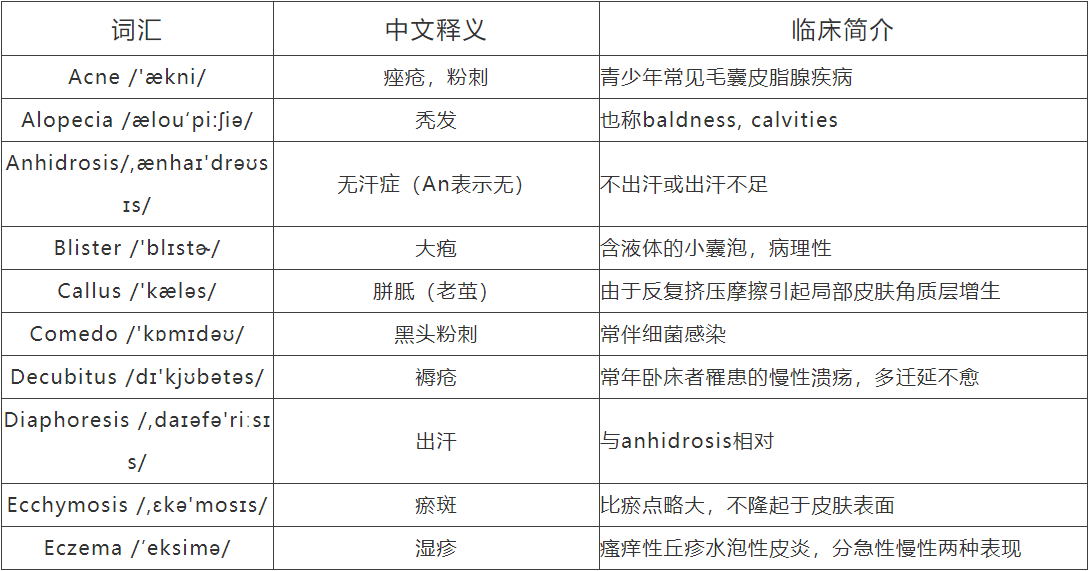 博士留学申请，博士出国，博士留学，全奖博士，申请博士留学，好予博士申请，好予博士留学申请