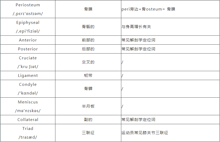 博士留学申请，博士出国，博士留学，全奖博士，申请博士留学，好予博士申请，好予博士留学申请